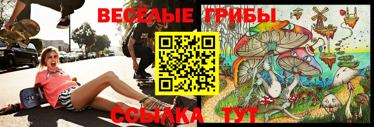 Галлюциногенные грибы Magic Shrooms  Вход с VPN  Псилоцибиновые грибы Psilocybine cubensis  Нерюнгри 