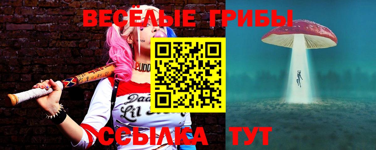 Галлюциногенные грибы прущие грибы Нерюнгри